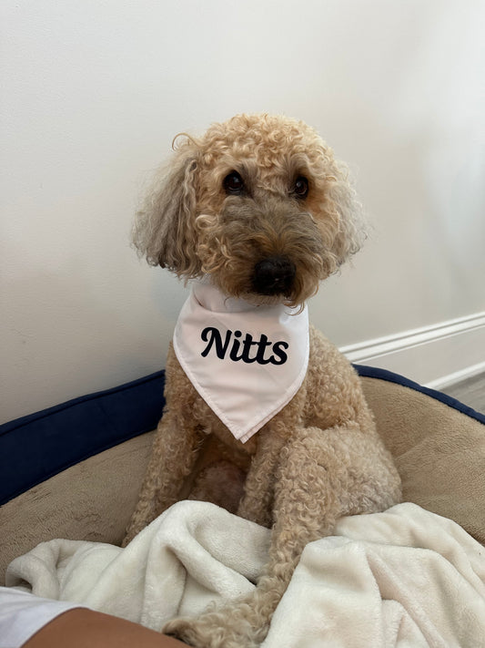 Nitts Classic pet bandana